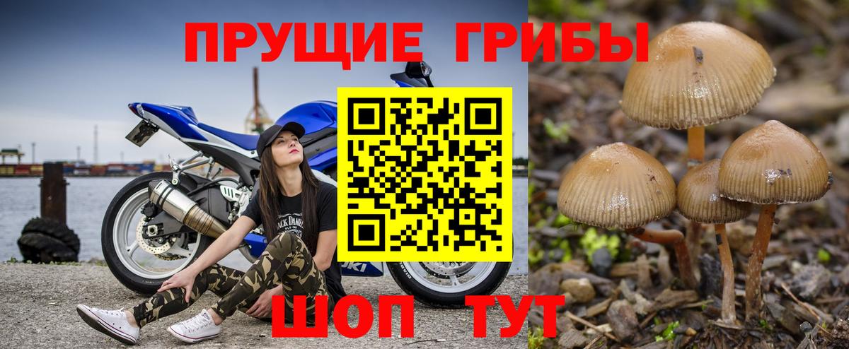 Нягань  Галлюциногенные грибы Psilocybine cubensis  Вход с VPN  Псилоцибиновые грибы Magic Shrooms 