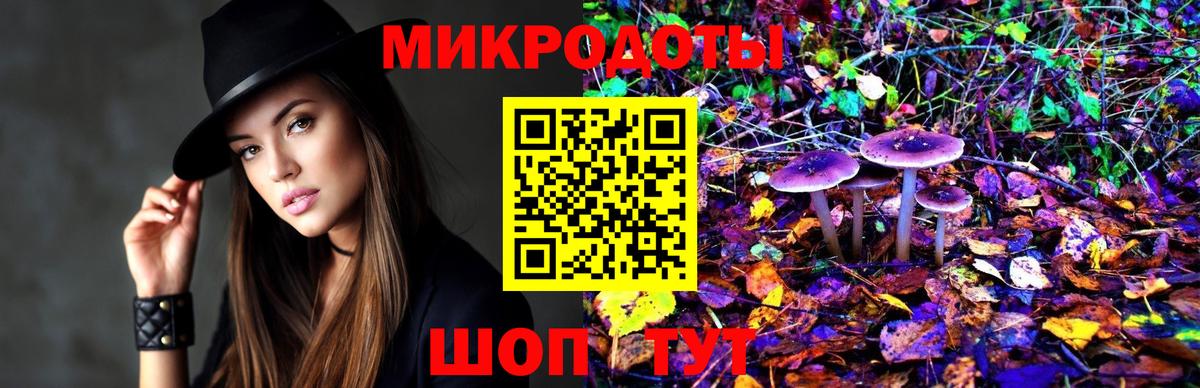 Галлюциногенные грибы Psilocybe Нягань